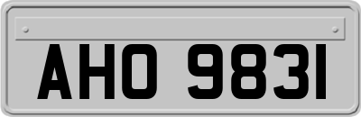 AHO9831