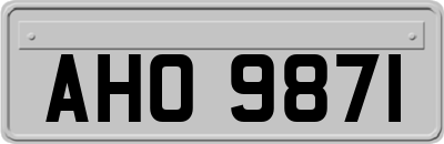 AHO9871