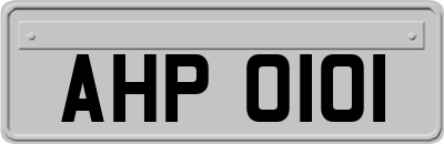 AHP0101