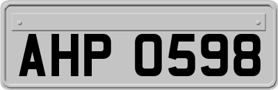 AHP0598