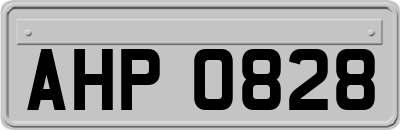 AHP0828