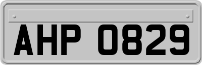 AHP0829