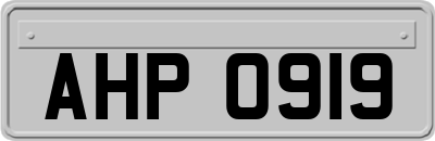 AHP0919