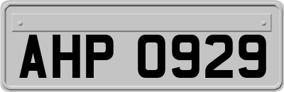 AHP0929