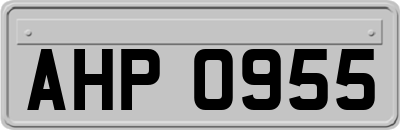 AHP0955