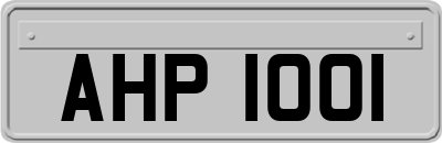 AHP1001