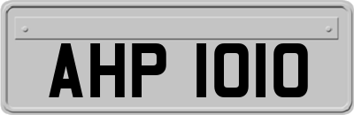 AHP1010