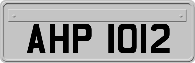 AHP1012