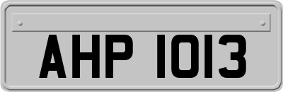 AHP1013