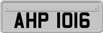 AHP1016