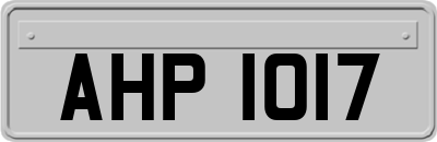 AHP1017