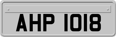 AHP1018