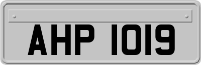 AHP1019