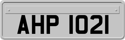 AHP1021