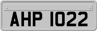 AHP1022