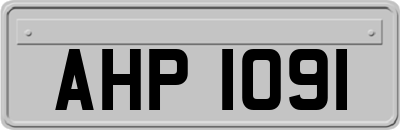 AHP1091