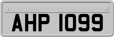 AHP1099