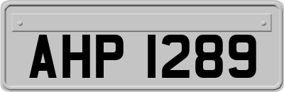 AHP1289