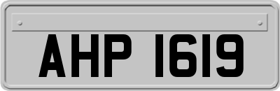 AHP1619