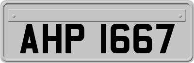 AHP1667