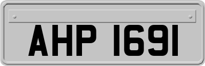 AHP1691