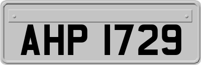 AHP1729