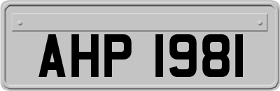 AHP1981