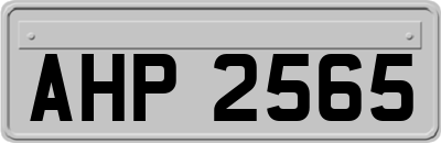 AHP2565