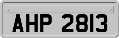 AHP2813