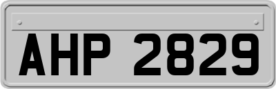 AHP2829