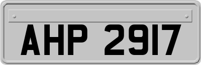 AHP2917