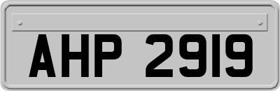 AHP2919