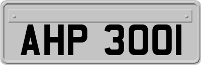 AHP3001