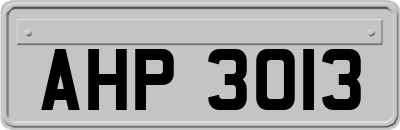 AHP3013