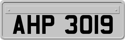 AHP3019