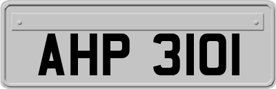 AHP3101