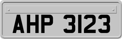 AHP3123