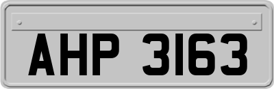 AHP3163