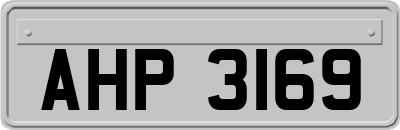AHP3169