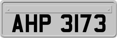 AHP3173