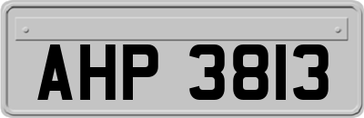 AHP3813