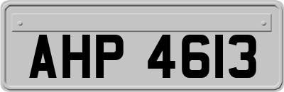 AHP4613