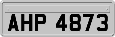 AHP4873