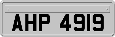 AHP4919