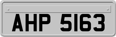 AHP5163