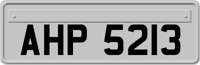 AHP5213