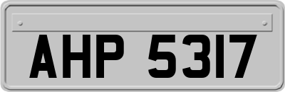 AHP5317