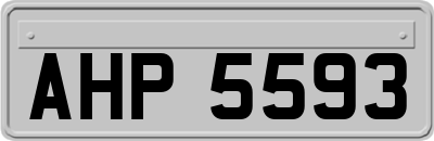 AHP5593