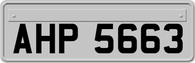 AHP5663