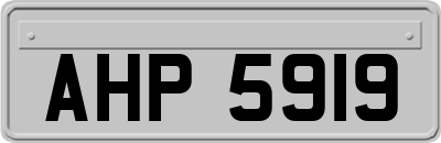 AHP5919